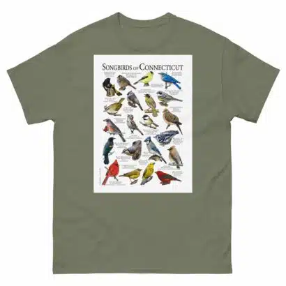 Songbirds of Connecticut - Men's classic tee - Image 5