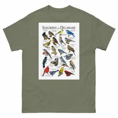 Songbirds of Delaware - Men's classic tee - Image 5