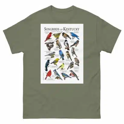 Songbirds of Kentucky- Men's classic tee - Image 5