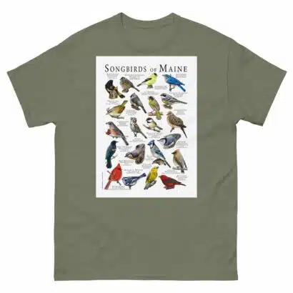 Songbirds of Maine - Men's classic tee - Image 5