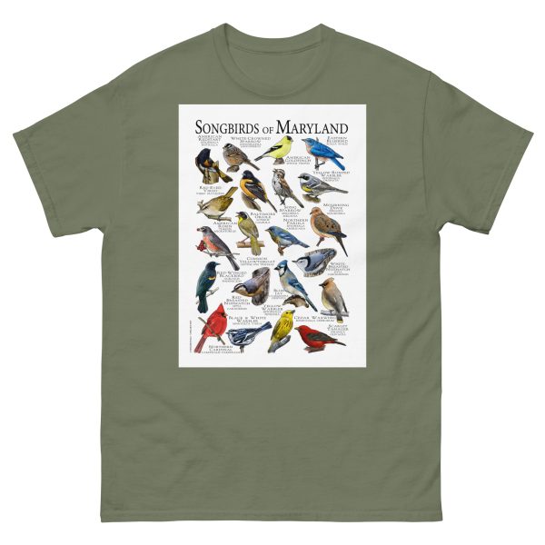 Songbirds of Maryland - Men's classic tee - Image 5
