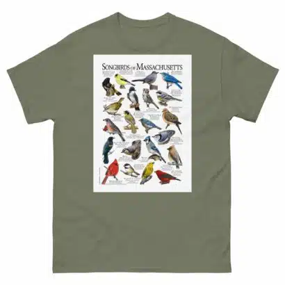 Songbirds of Massachusetts - Men's classic tee - Image 5