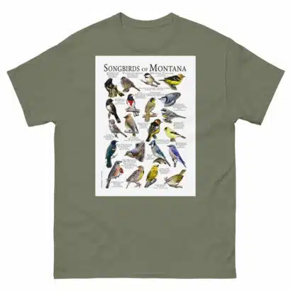 Songbirds of Montana - Men's classic tee - Image 5