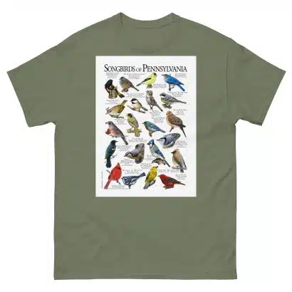 Songbirds of Pennsylvania - Men's classic tee - Image 5