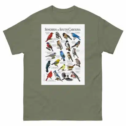 Songbirds of South Carolina - Men's classic tee - Image 5