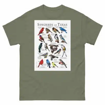 Songbirds of Texas - Men's classic tee - Image 5