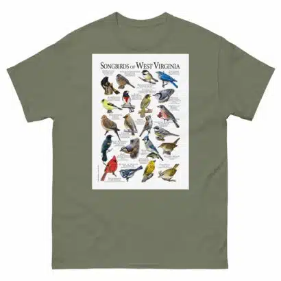 Songbirds of West Virginia - Men's classic tee - Image 5