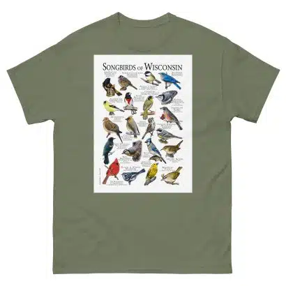 Songbirds of Wisconsin - Men's classic tee - Image 5