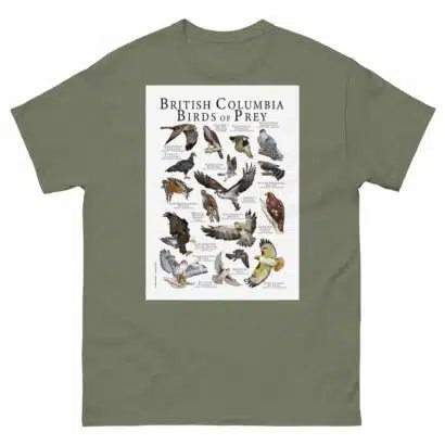 British Columbia Birds of Prey - Men's classic tee - Image 5