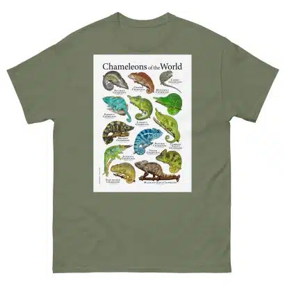 Chameleons of the World - Men's classic tee - Image 5