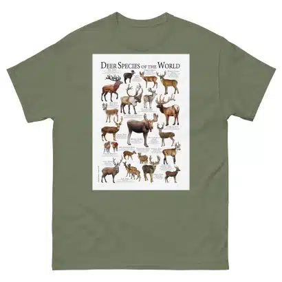 Deer Species of the World - Men's classic tee - Image 5