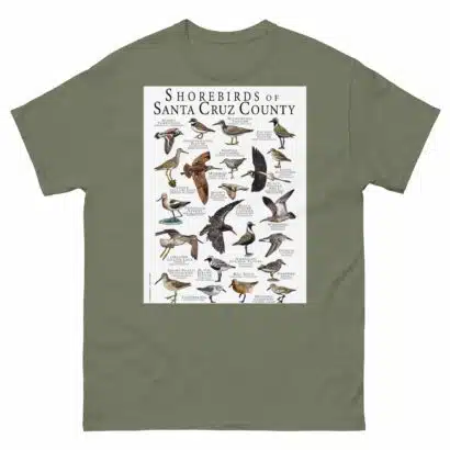Shorebirds of Santa Cruz County - Men's classic tee - Image 5