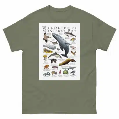 Wildlife of Monterey Bay - Men's classic tee - Image 5