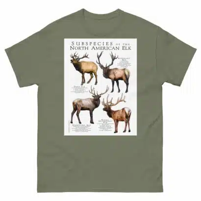 Subspecies of North American Elk - Men's classic tee - Image 5