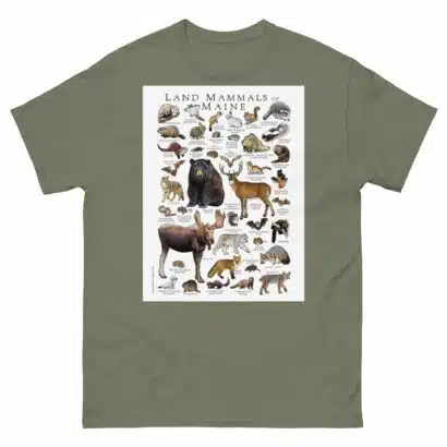 Land Mammals of Maine - Men's classic tee - Image 5
