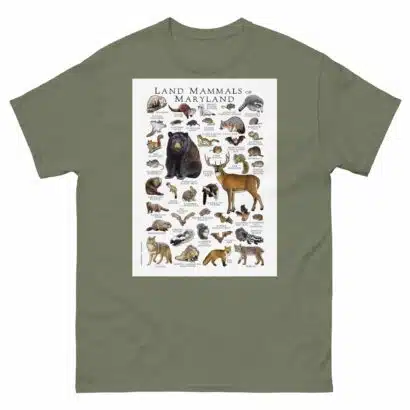 Land Mammals of Maryland - Men's classic tee - Image 5