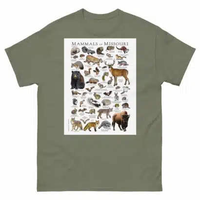 Mammals of Missouri - Men's classic tee - Image 5