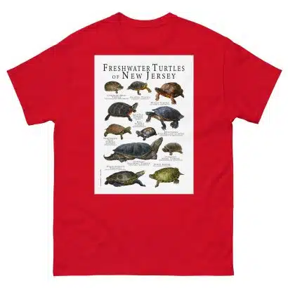 Freshwater Turtles of New Jersey - Men's classic tee - Image 3