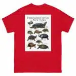 Freshwater Turtles of New York - Men's classic tee - Image 3