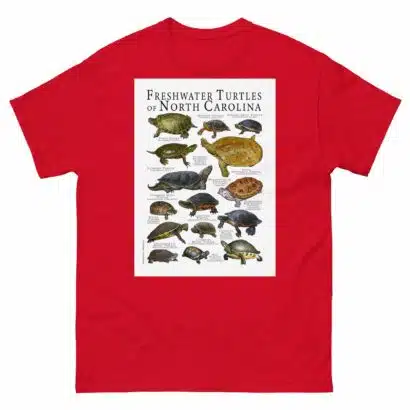 Freshwater Turtles of North Carolina - Men's classic tee - Image 3