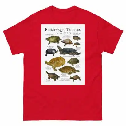 Freshwater Turtles of Ohio - Men's classic tee - Image 3