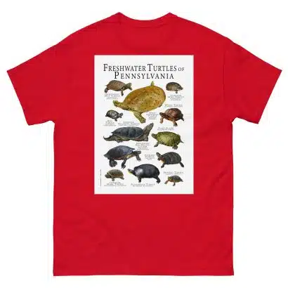 Freshwater Turtles of Pennsylvania - Men's classic tee - Image 3