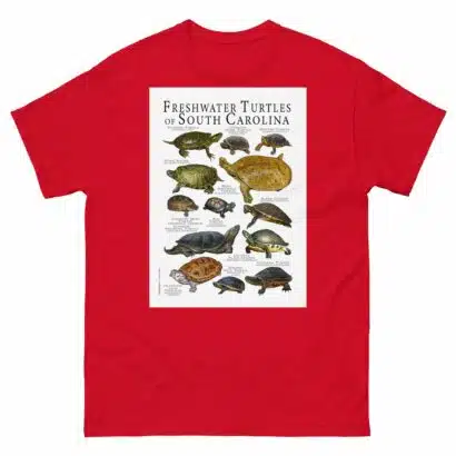 Freshwater Turtles of South Carolina - Men's classic tee - Image 3