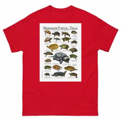 Freshwater Turtles of Texas - Men's classic tee - Image 3
