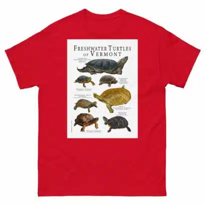 Freshwater Turtles of Vermont - Men's classic tee - Image 3
