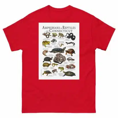 Amphibians & Reptiles of Connecticut - Men's classic tee - Image 3