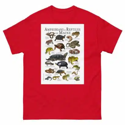 Amphibians & Reptiles of Maine - Men's classic tee - Image 3