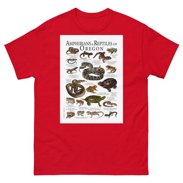 Amphibians & Reptiles of Oregon - Men's classic tee - Image 3
