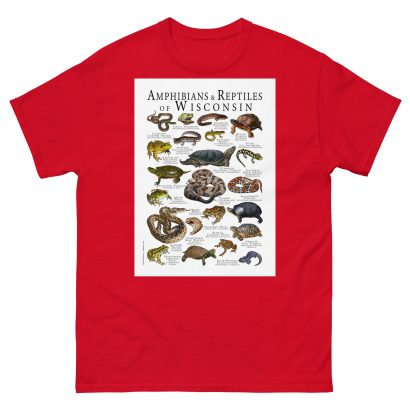 Amphibians & Reptiles of Wisconsin - Men's classic tee - Image 3