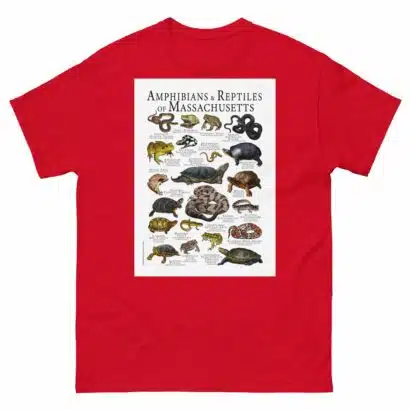 Amphibians & Reptiles of Massachusetts - Men's classic tee - Image 3