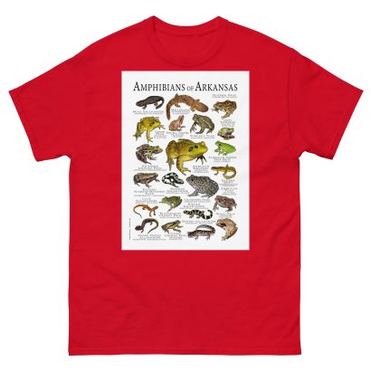 Amphibians of Arkansas - Men's classic tee - Image 3