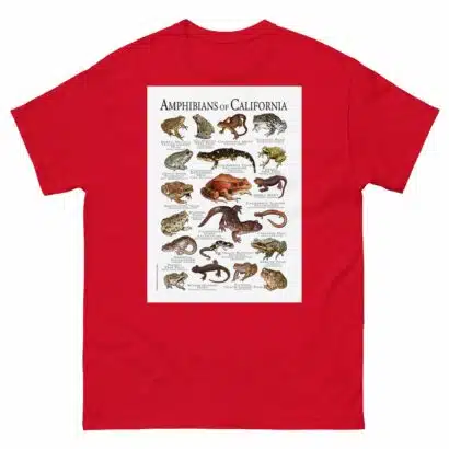 Amphibians of California - Men's classic tee - Image 3