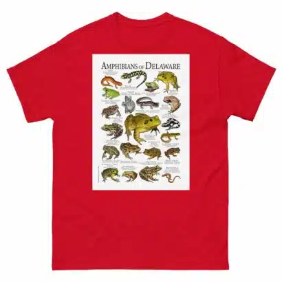Amphibians of Delaware - Men's classic tee - Image 3