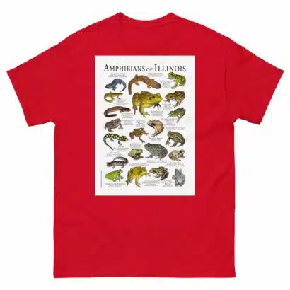 Amphibians of Illinois - Men's classic tee - Image 3