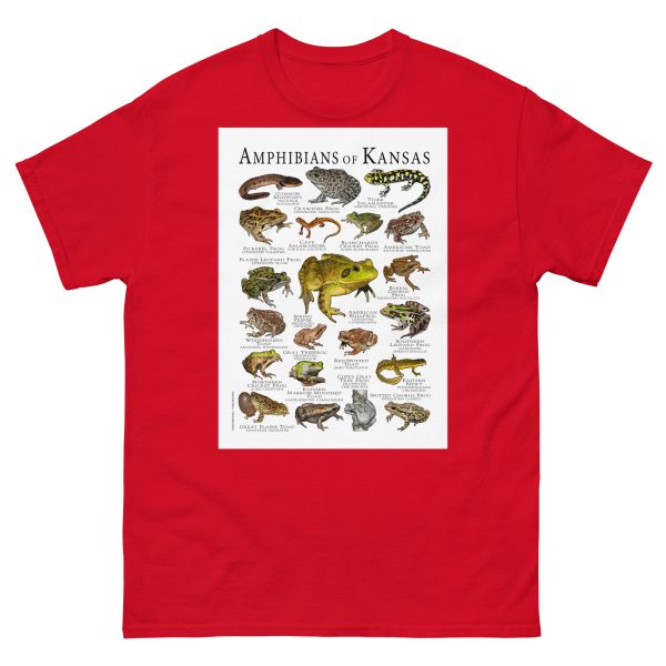 Amphibians of Kanasas - Men's classic tee - Image 3