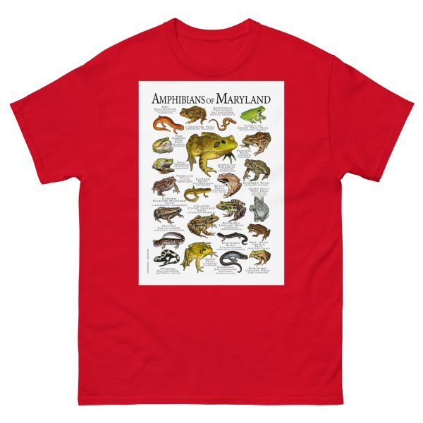 Amphibians of Maryland - Men's classic tee - Image 3