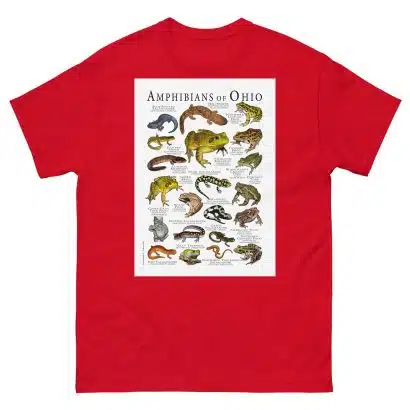 Amphibians of Ohio - Men's classic tee - Image 3