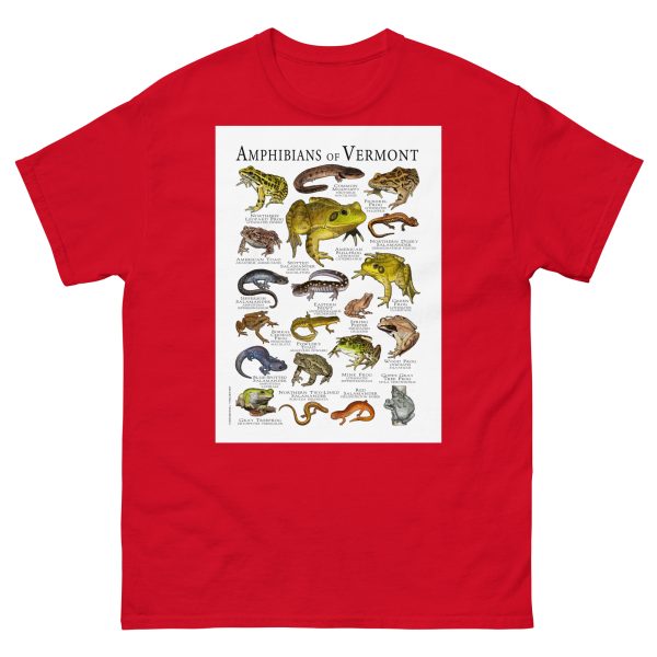 Amphibians of Vermont - Men's classic tee - Image 3