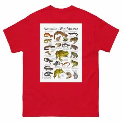 Amphibians of West Virginia - Men's classic tee - Image 3