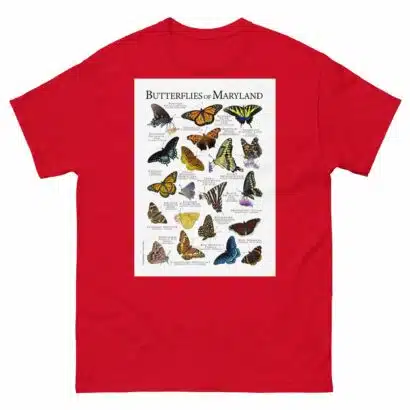 Butterflies of Maryland - Men's classic tee - Image 3