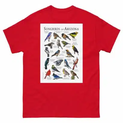 Songbirds of Arizona - Men's classic tee - Image 3