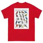 Songbirds of Arkansas Men's classic tee - Image 3