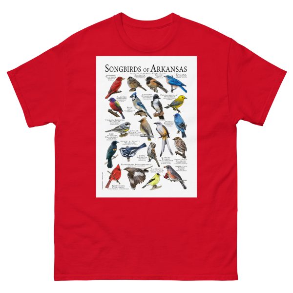 Songbirds of Arkansas Men's classic tee - Image 3