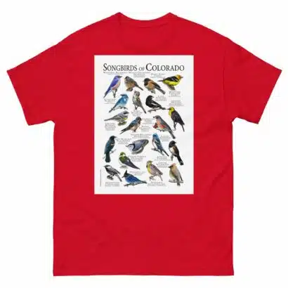 Songbirds of Colorado - Men's classic tee - Image 3