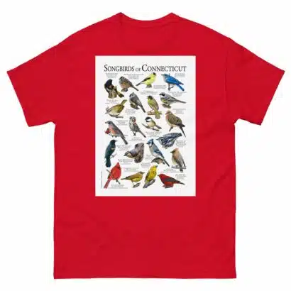 Songbirds of Connecticut - Men's classic tee - Image 3