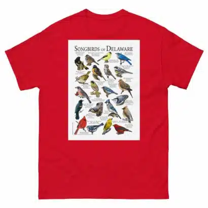 Songbirds of Delaware - Men's classic tee - Image 3